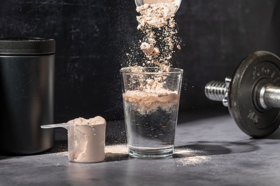 Proteinreiche Mahlzeit als Grundlage für Muskelerhalt und Longevity